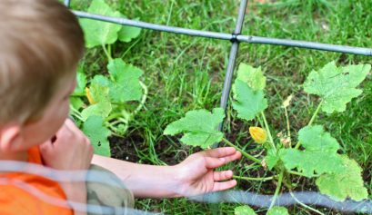 gardening with kids