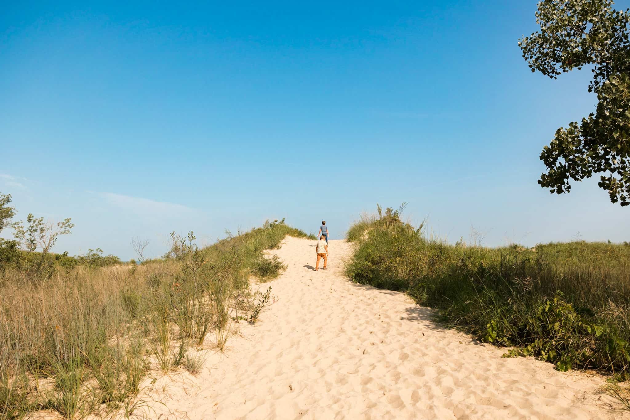 West Beach Trail 