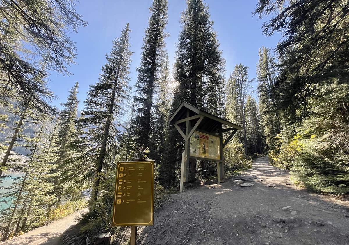 Larch Valley hike with kids in Banff.