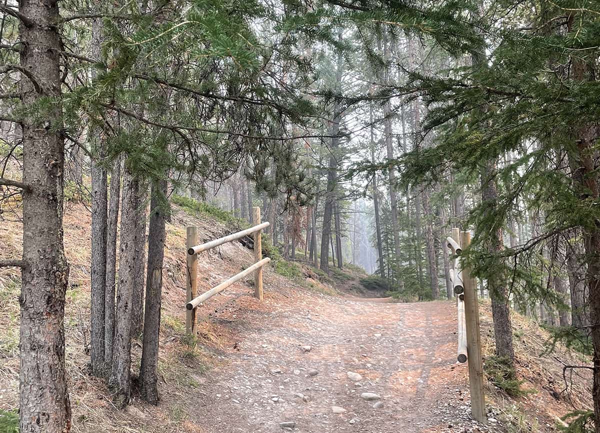 Tunnel Mountain perfect hike for kids in Banff