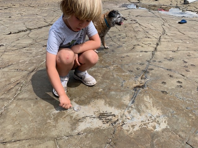 Child using magnifying glass to examine leaf fossil imprint