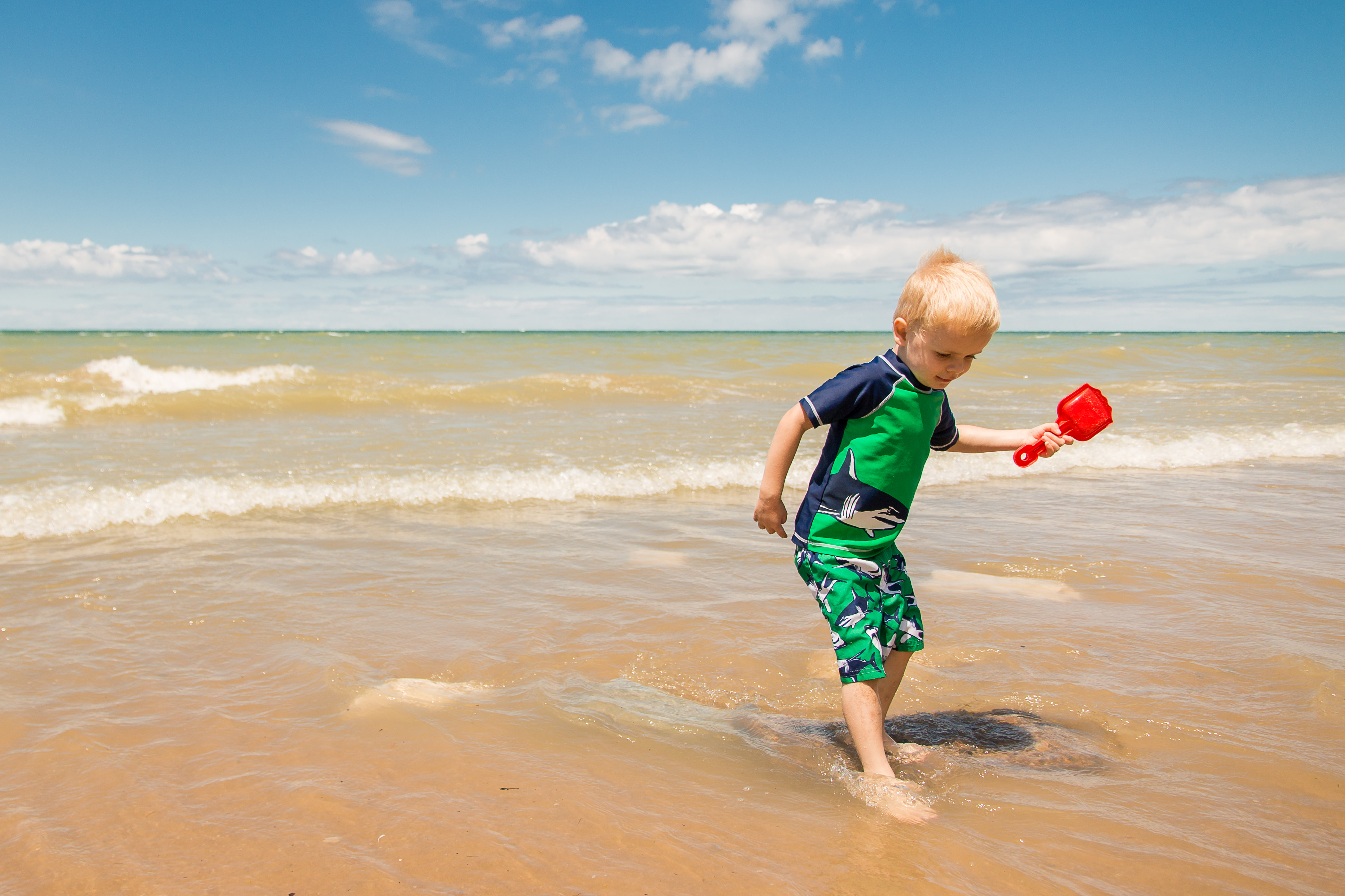 Southwest Michigan Beach