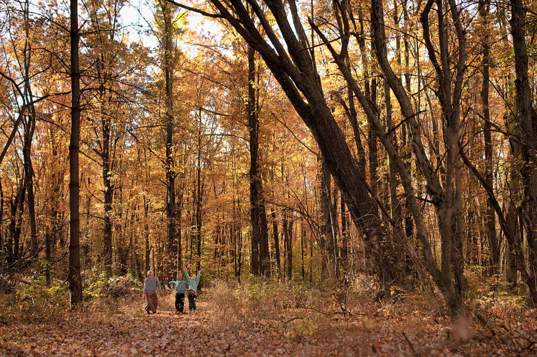 nature spot in fall