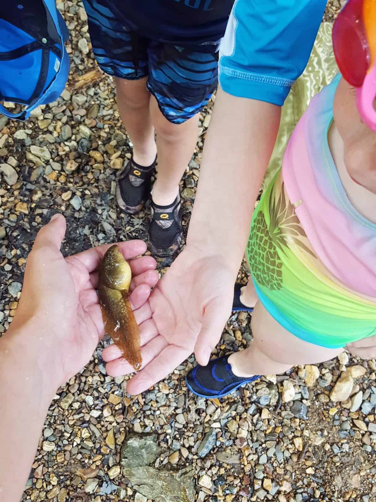 raising outdoor kids