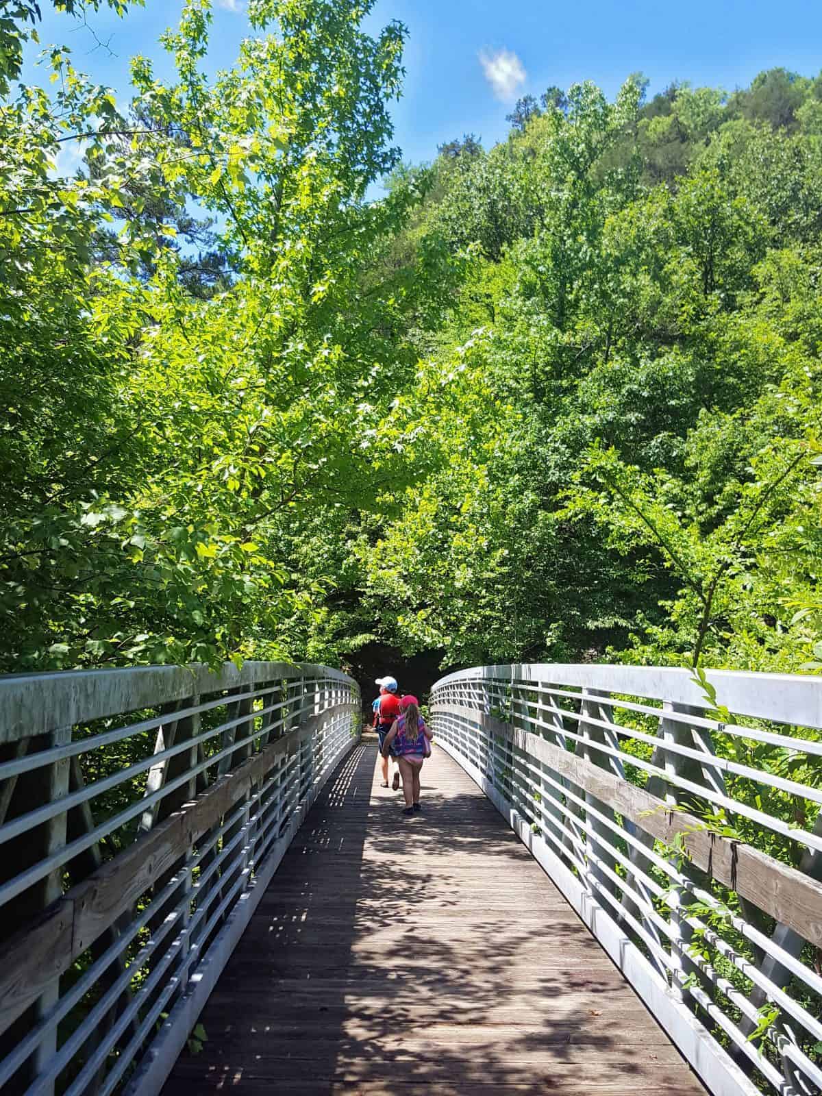 Hiking & Creeking Little Missouri Falls with Kids