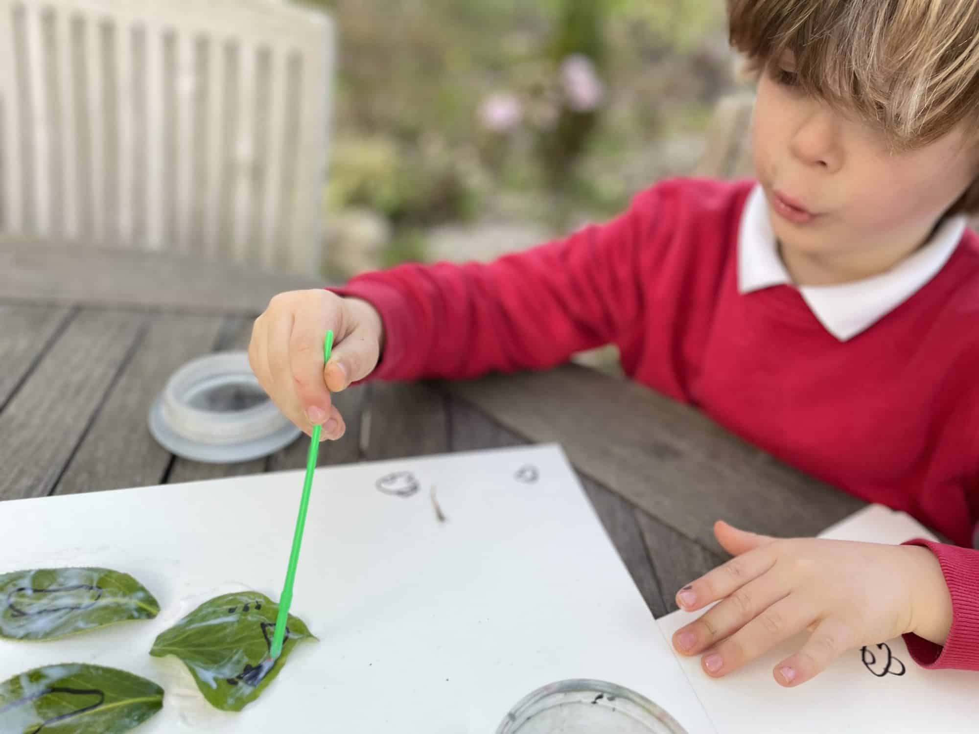 Sticking leaves onto paper