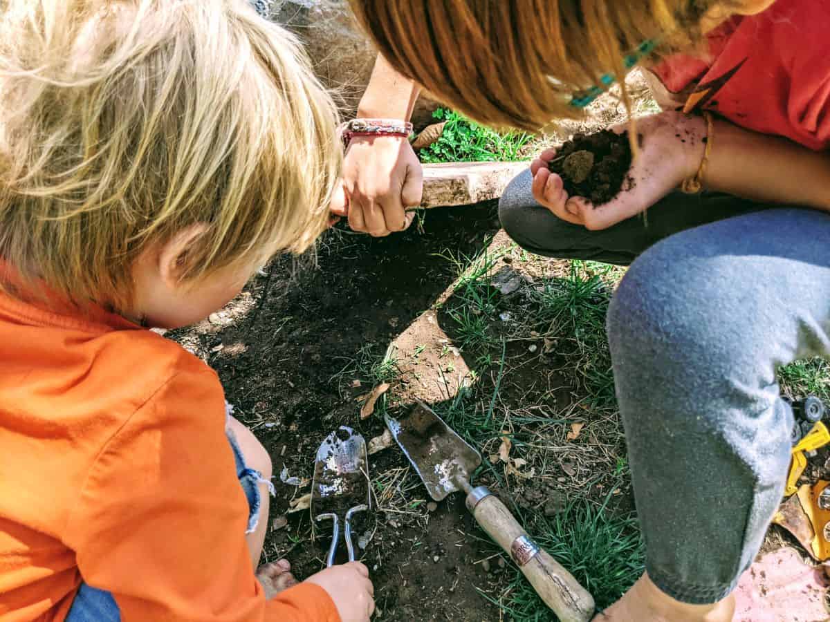 Looking for worms under rocks