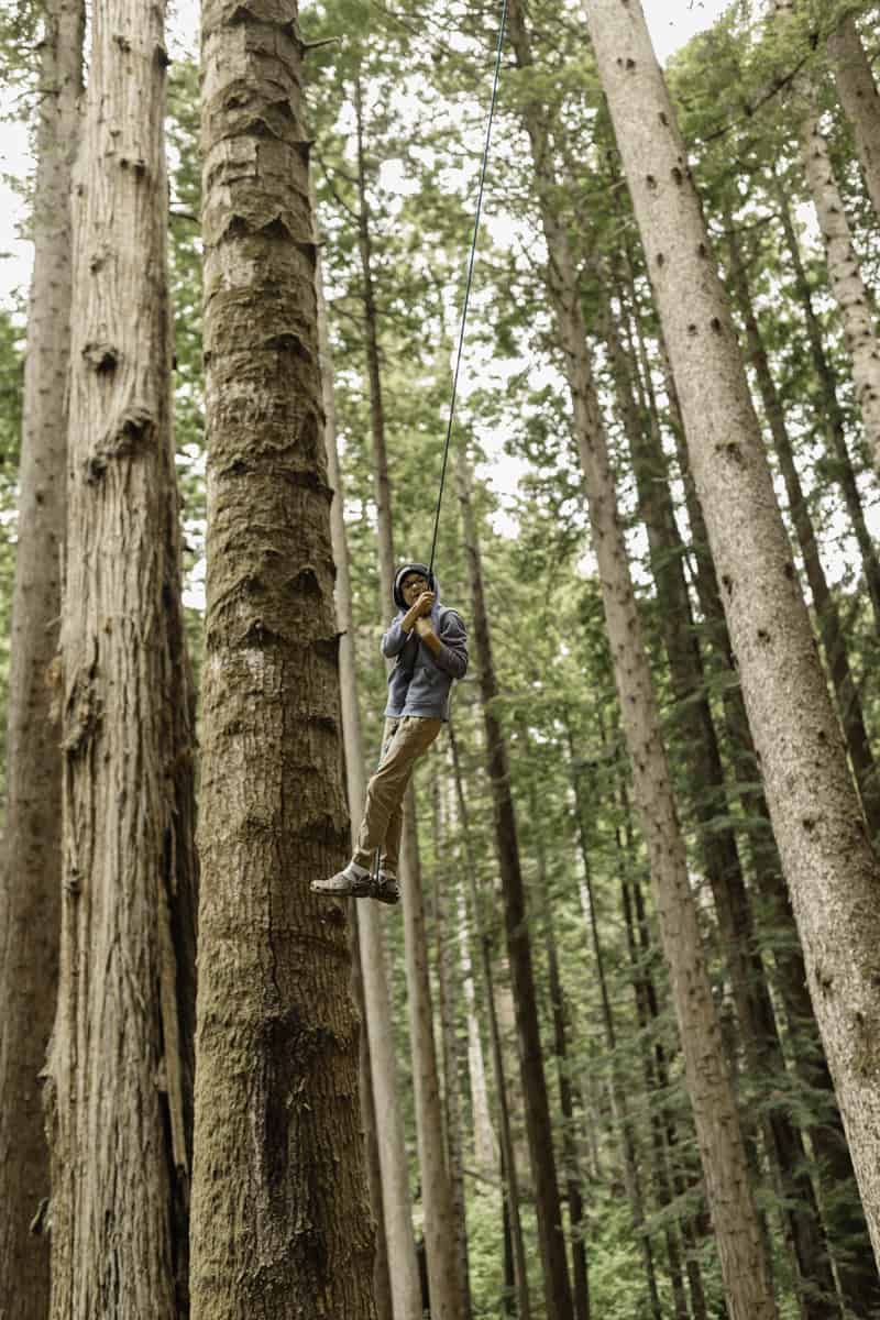 Swinging from the redwood trees in Redwood Park California