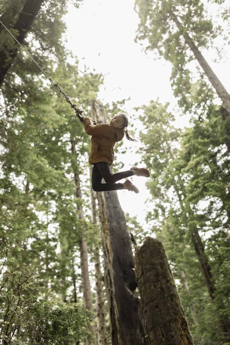 Swinging from the redwood trees in Redwood Park California