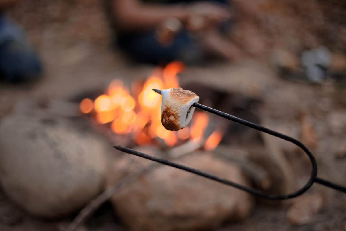 toasting marshmallows