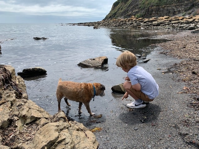 Searching along the shore line for smaller fossils and shark teeth