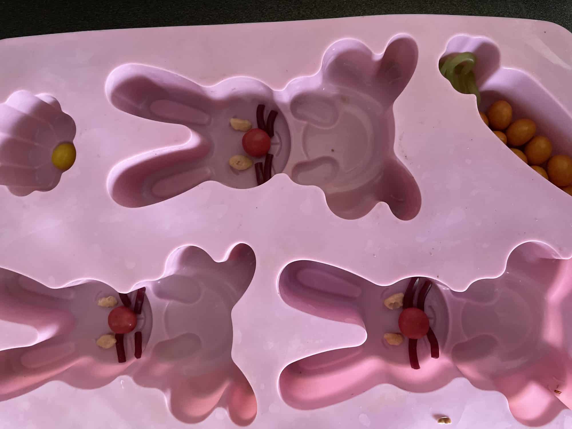 Silicon bunny mould