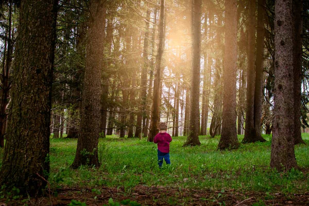 sit spotting nature meditation with kids