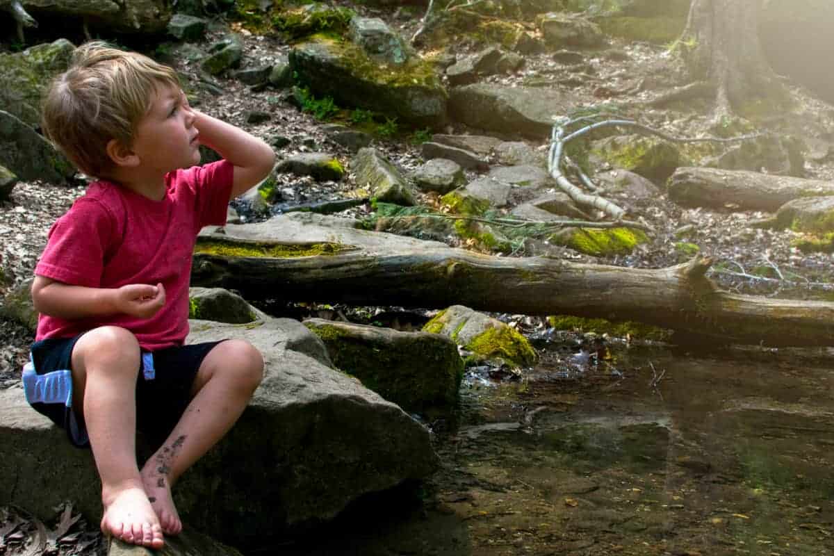 sit spotting nature meditation with kids