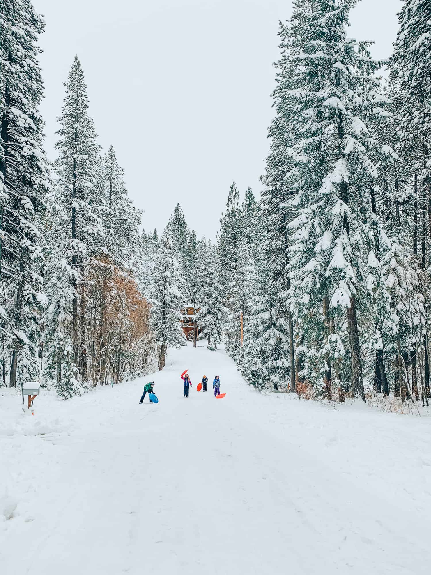 sledding with kids - snow day activities