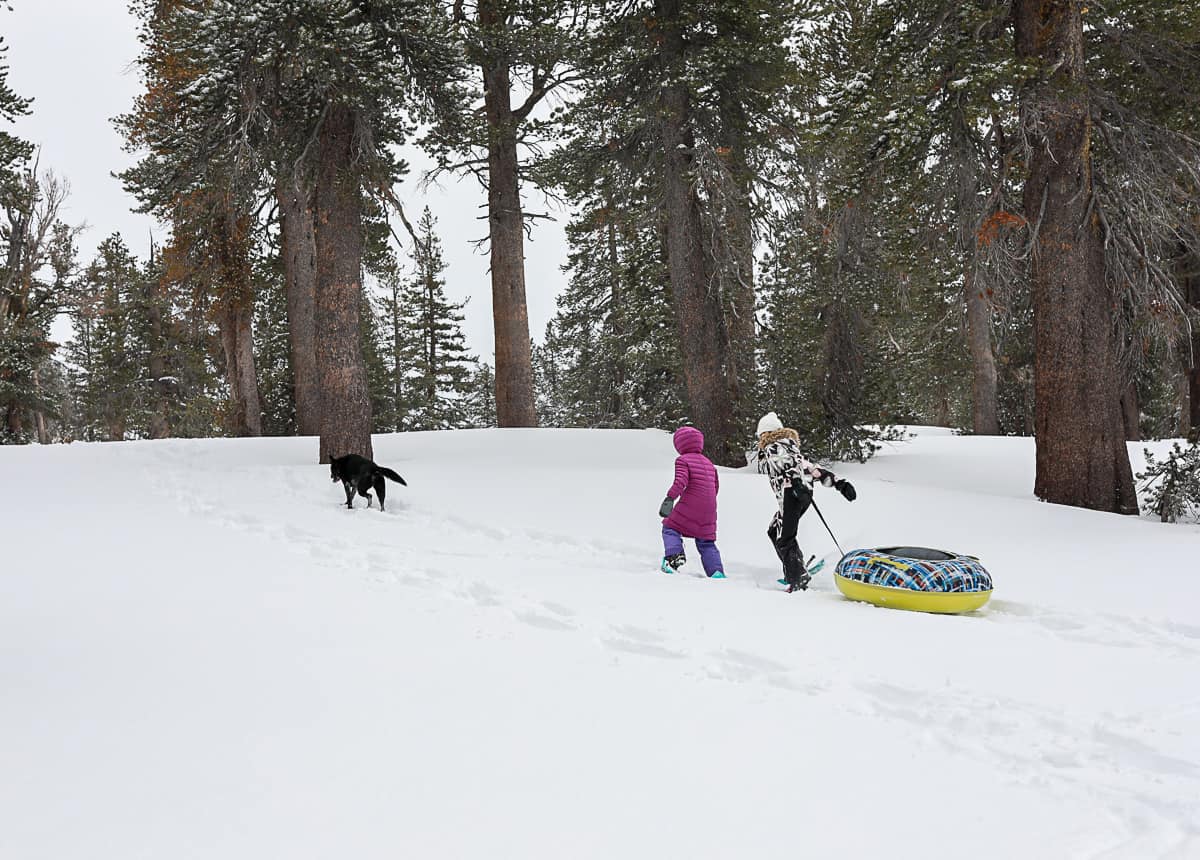 What to wear and how to dress to go snowshoeing with kids