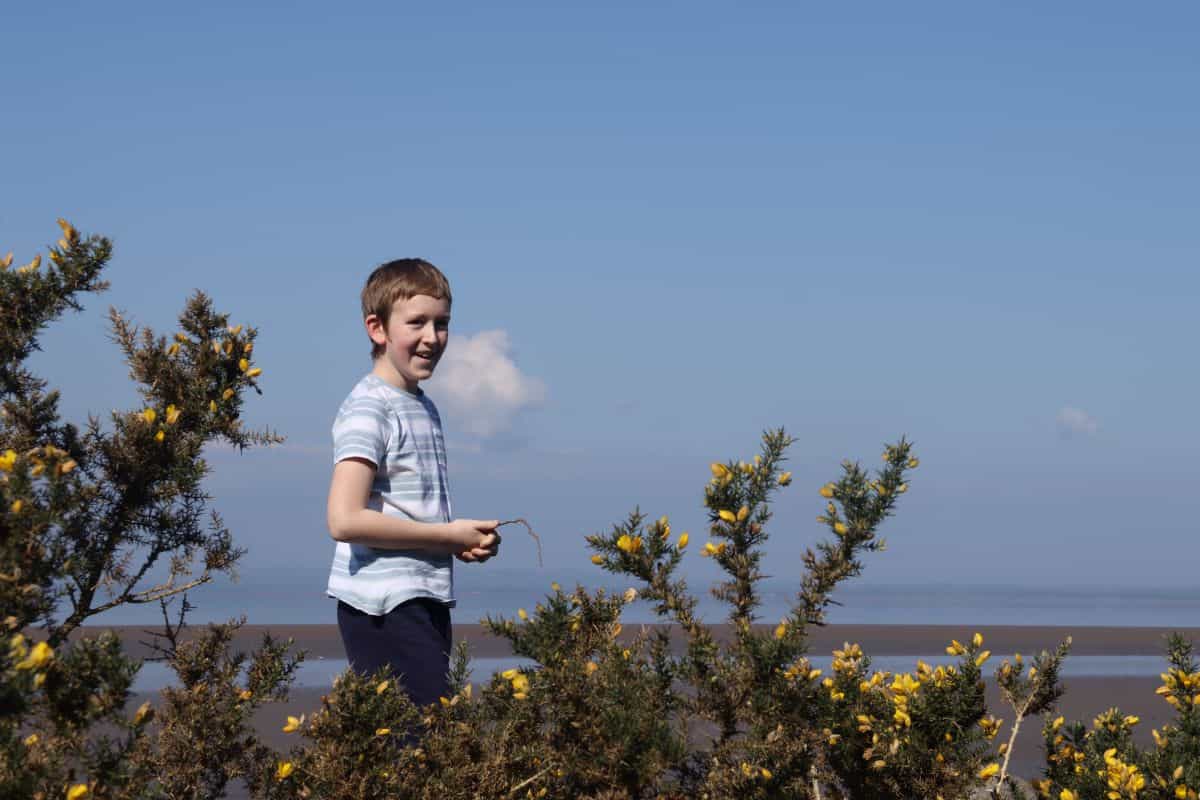 boy by the sea