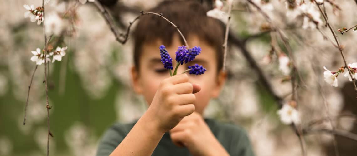 Boy holding muscari