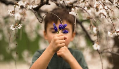 Boy holding muscari