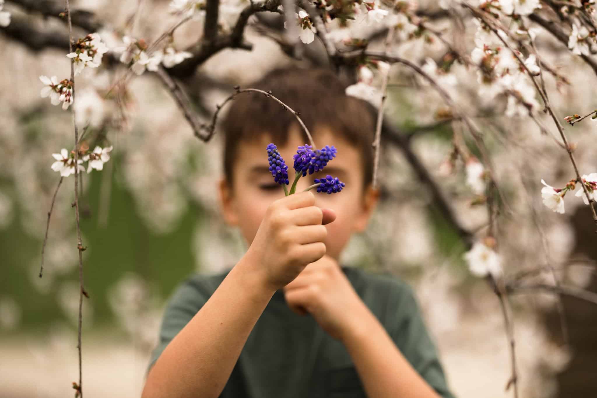 Boy holding muscari 