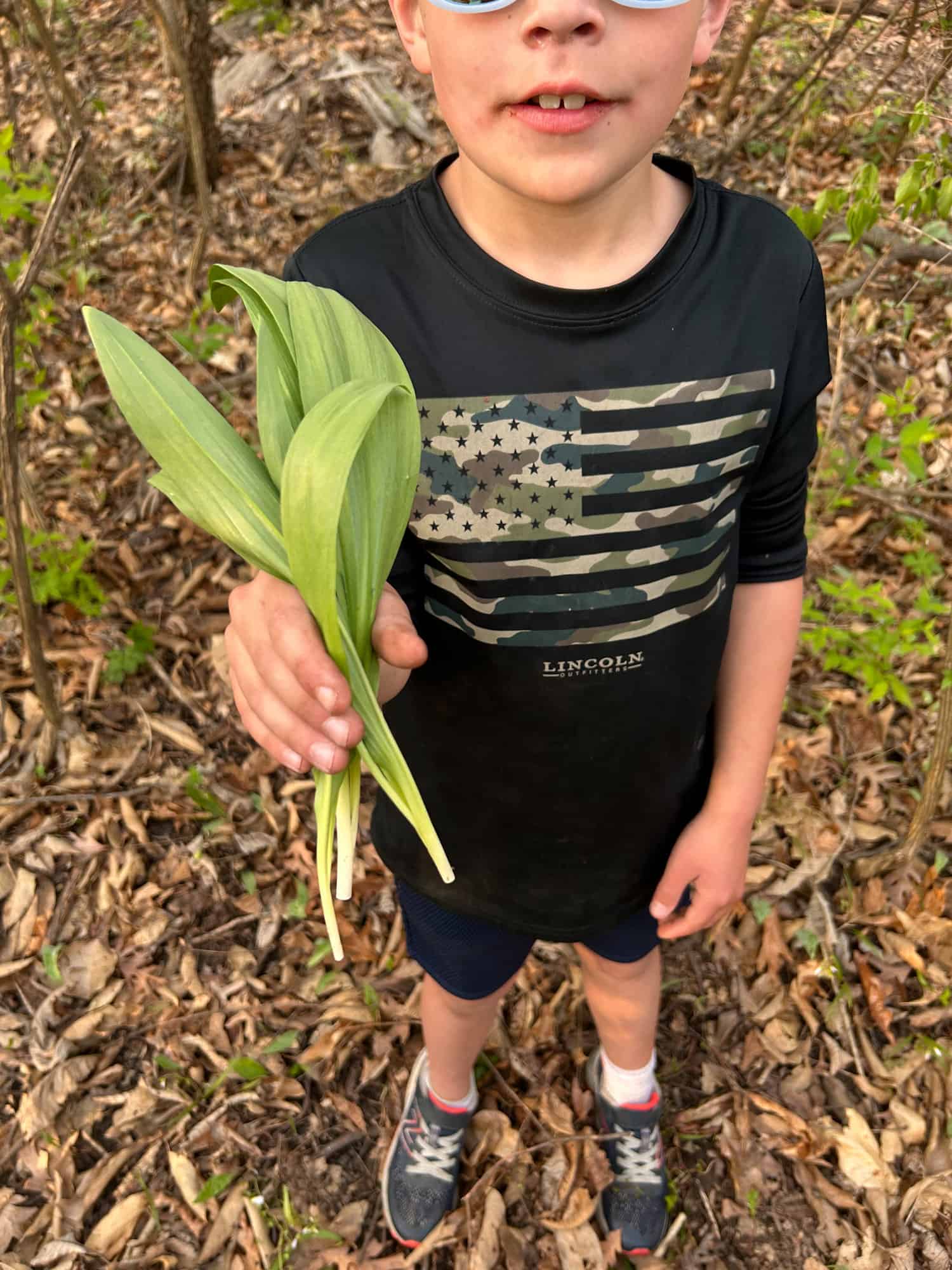 Wild leeks 