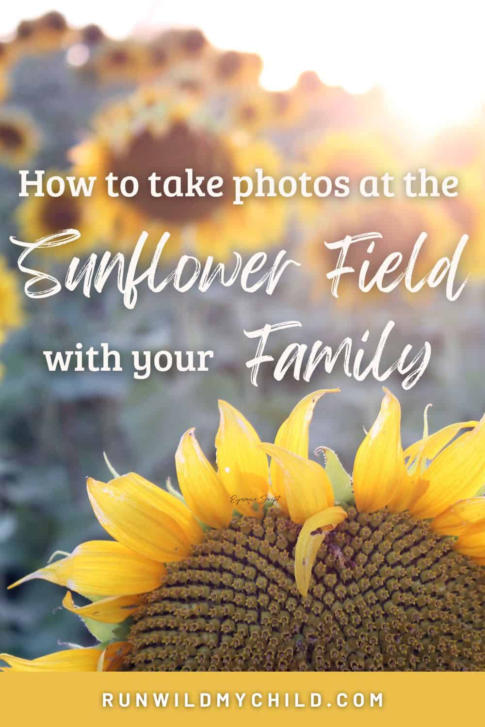 Heart-shaped sunflower bloom with white text