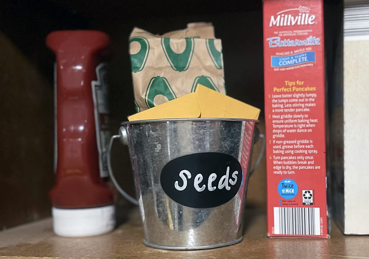 Sunflower seeds harvested and stored in a pantry.