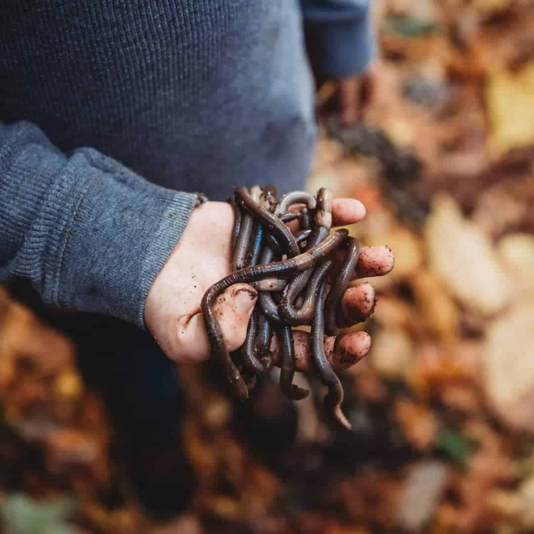 Outdoor Acts of Kindness for Kids & Ways to Be Kind to Nature