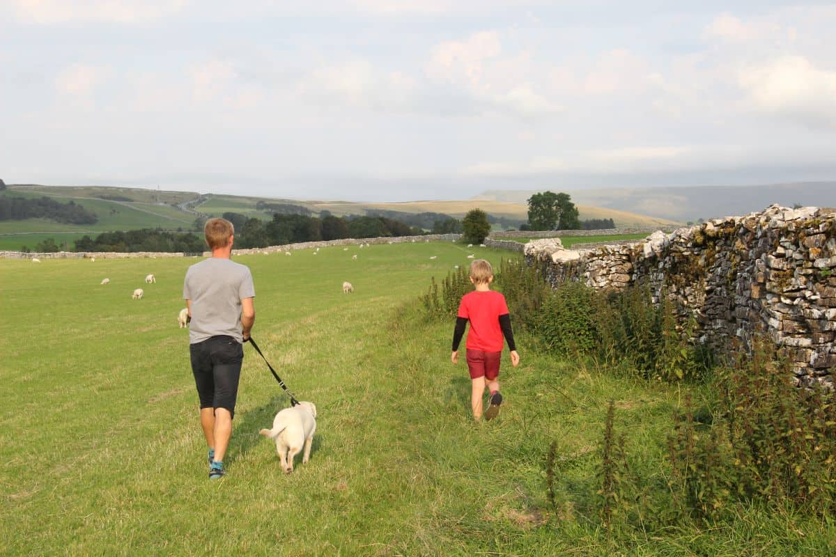 walking along the stone wall