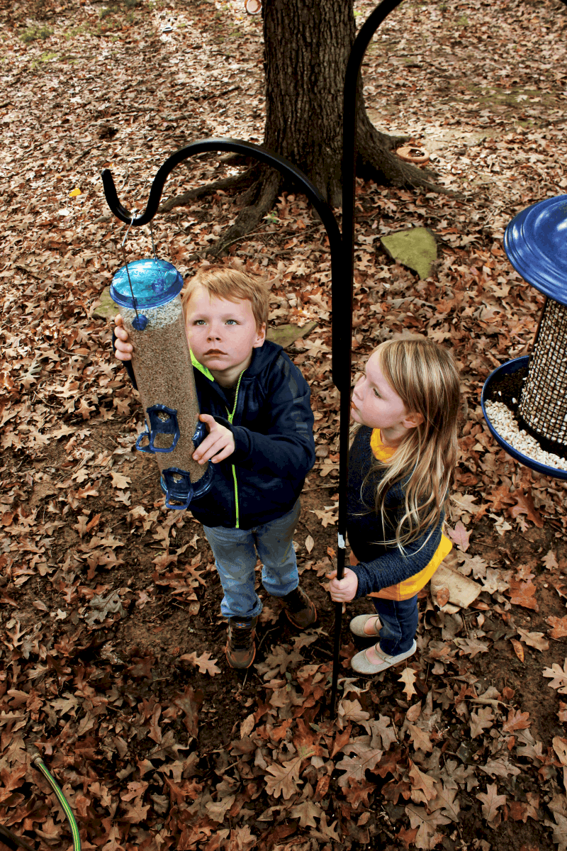 Nature Study - Bird Observation - Outdoor STEAM activities for kids