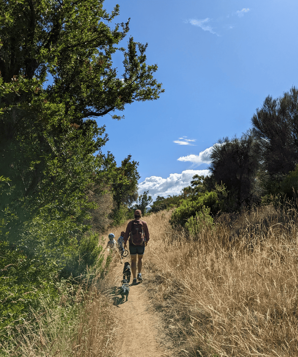 Walking along the coastline with dogs and kids 