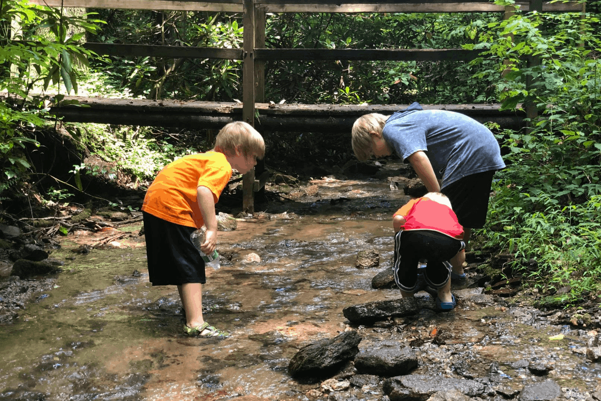 Making Summer last at the creek