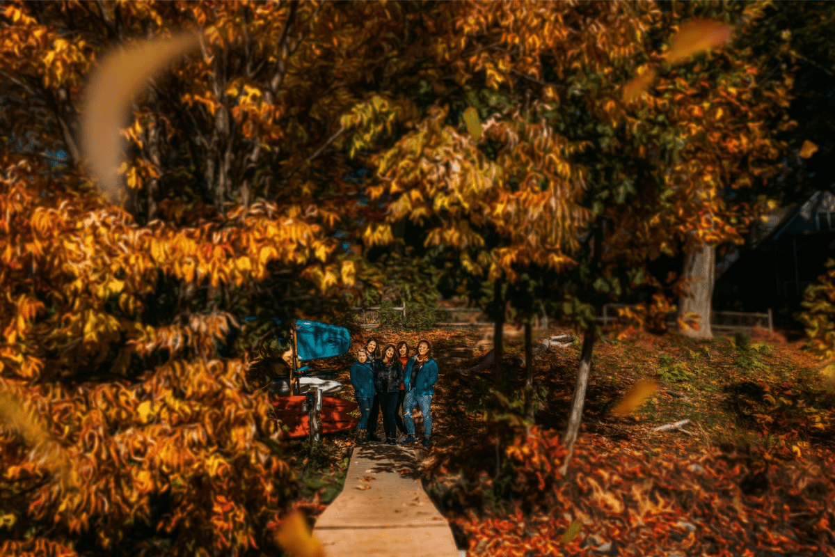 Friendship group hiking in fall forest, beautiful foliage adn earth colors.