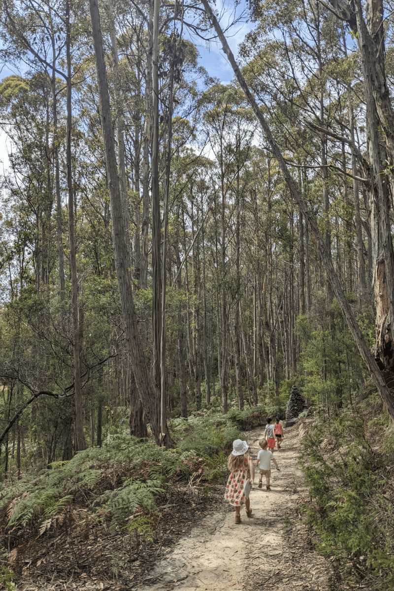 Four children hiking in the forest in summer. 