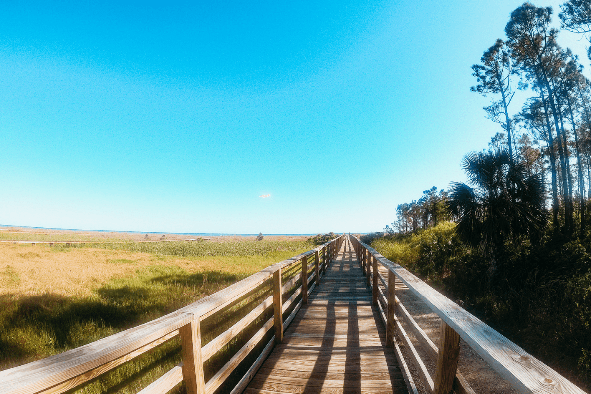 boardwalk leading to a beach on cape san blas