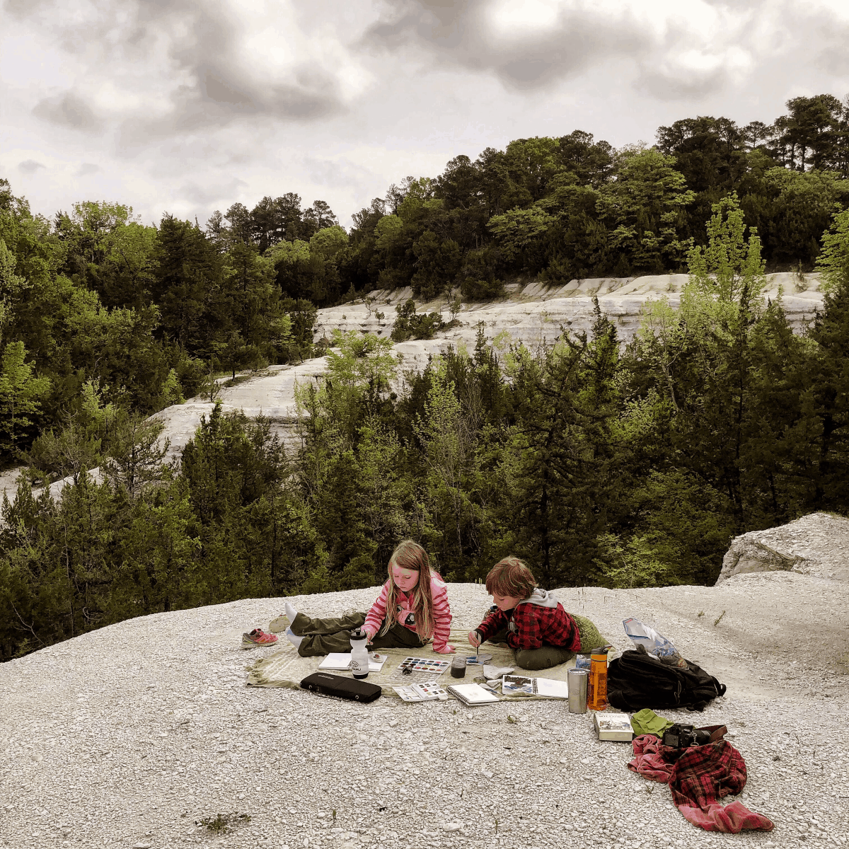 Nature Journaling with Kids - Teaching science through nature study (STEAM activities)