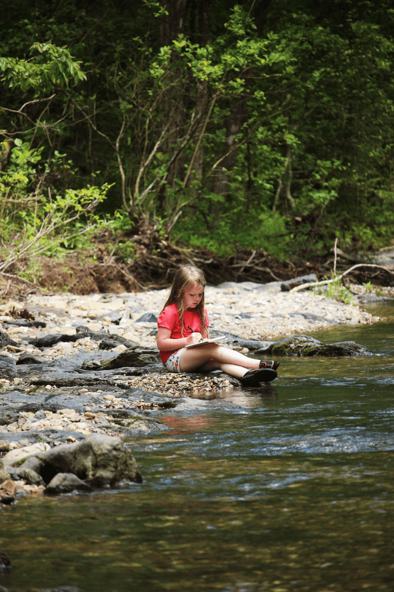 Nature Inspired Outdoor STEAM Activities for Kids 