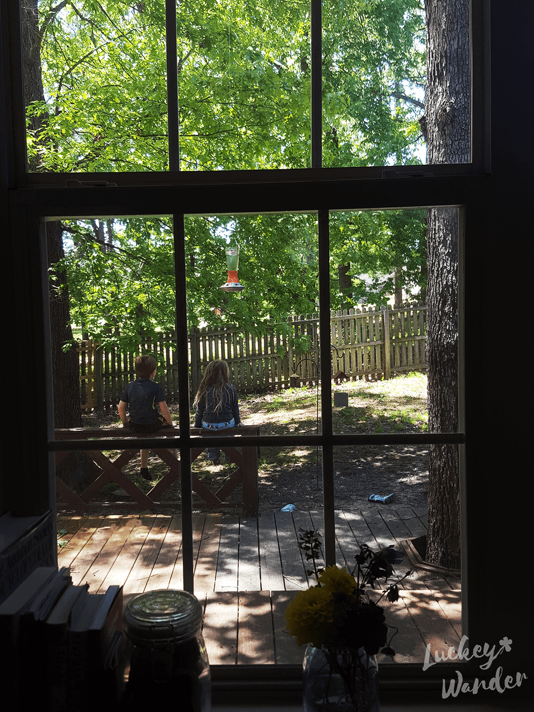 window observation station for bird watching