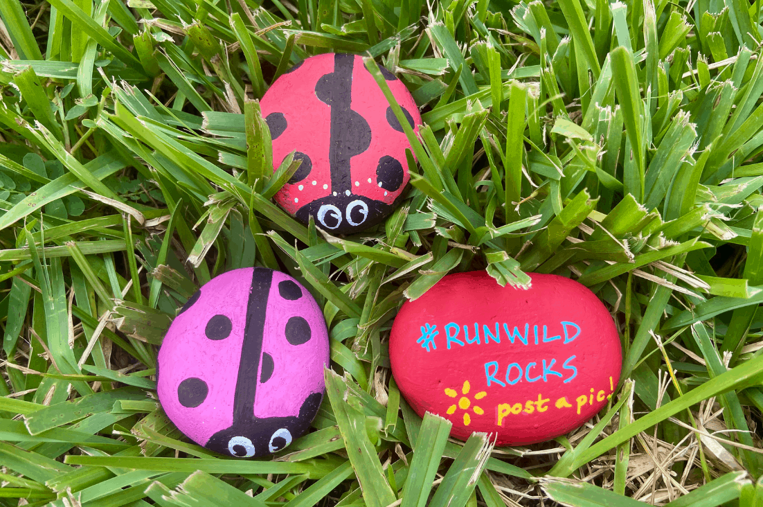 painted ladybug rocks and #runwildrocks painted rock