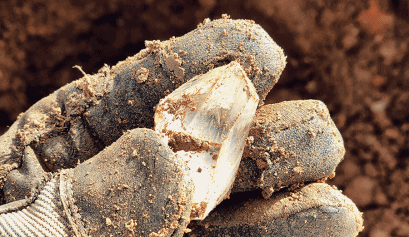 crystal point clear quartz arkansas mine family fun