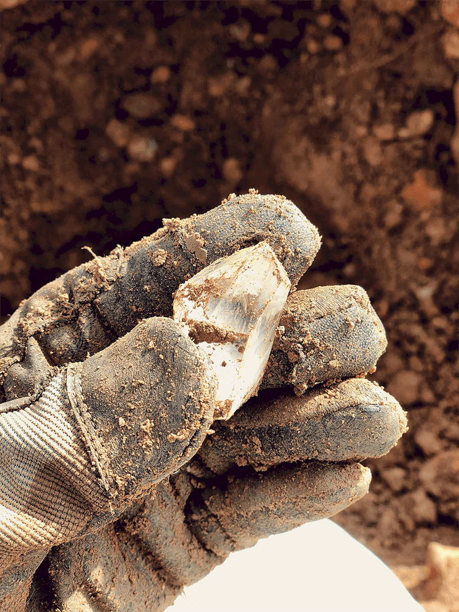 Digging for crystals with kids - crystal point clear quartz arkansas mine family fun