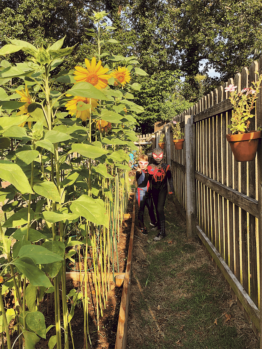 winter garden planning with kids spiders in the garden